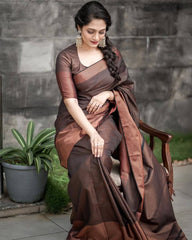 BROWN PURE SOFT SILK SAREE WITH ATTRACTIVE BLOUSE PIECE