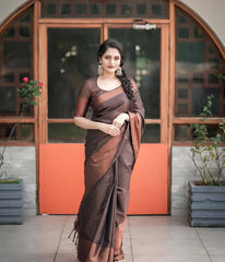 BROWN PURE SOFT SILK SAREE WITH ATTRACTIVE BLOUSE PIECE